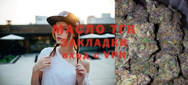 тгк Алексин